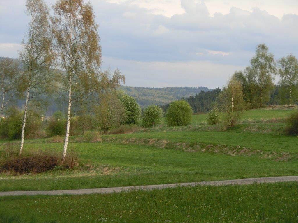 Pension Fohlenhof Frauenau Bagian luar foto