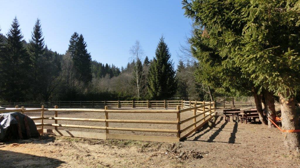 Pension Fohlenhof Frauenau Bagian luar foto