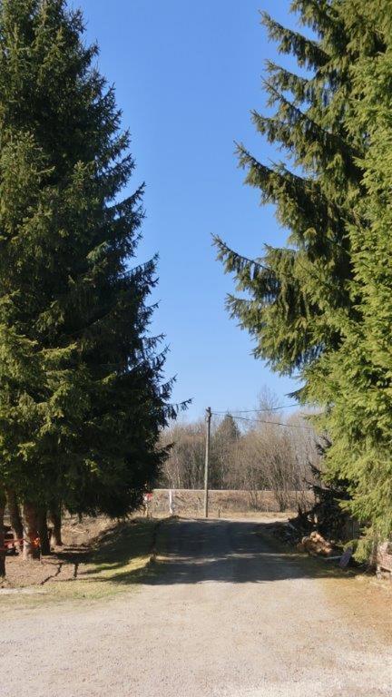 Pension Fohlenhof Frauenau Bagian luar foto
